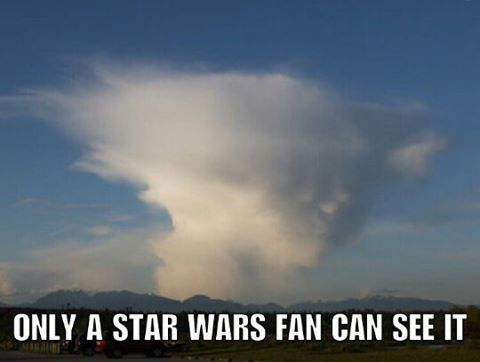 Star Wars Fans